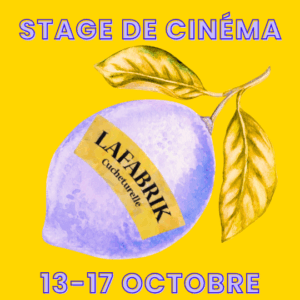 STAGE CINÉMA - Film comique - 13 au 17 octobre 2025 - dès 8 ans