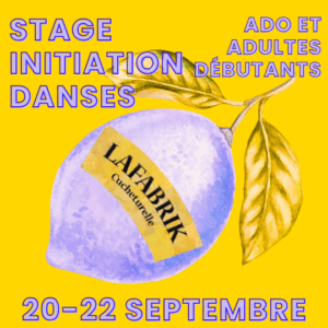 STAGE INITIATION DANSES - du 20 au 22 septembre 2025  - Ado (débutants) et adultes