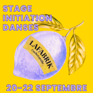 STAGE INITIATION DANSES - du 20 au 22 septembre 2025  - Ado (débutants) et adultes