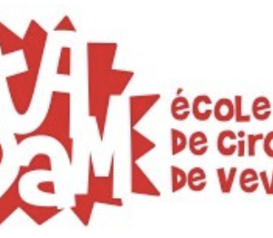Stage de cirque du mardi 28 juillet au vendredi 31 juillet de 3 à 10 ans, matin ou après-midi